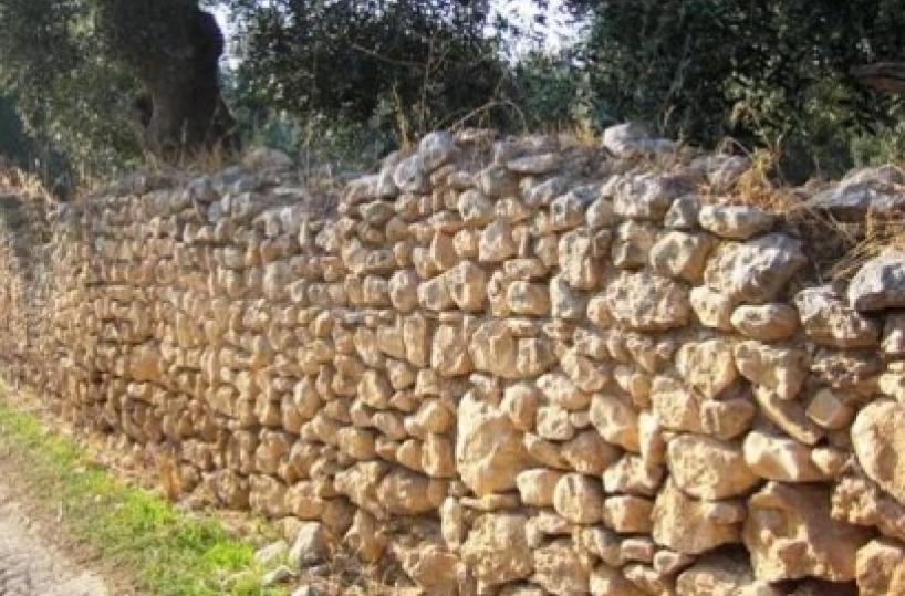 Muretti a secco abbattuti l'ecodisastro in Puglia è incominciato così