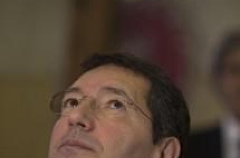 Fuga elefanti da circo, indagato Marino