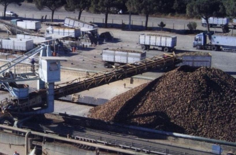 Cera una volta lo zucchero dauno