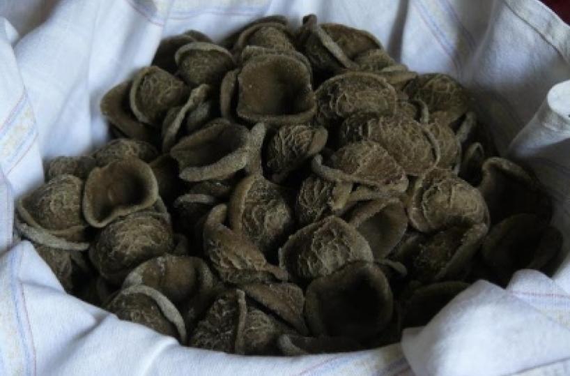 Grano arso, la scommessa di Canosa