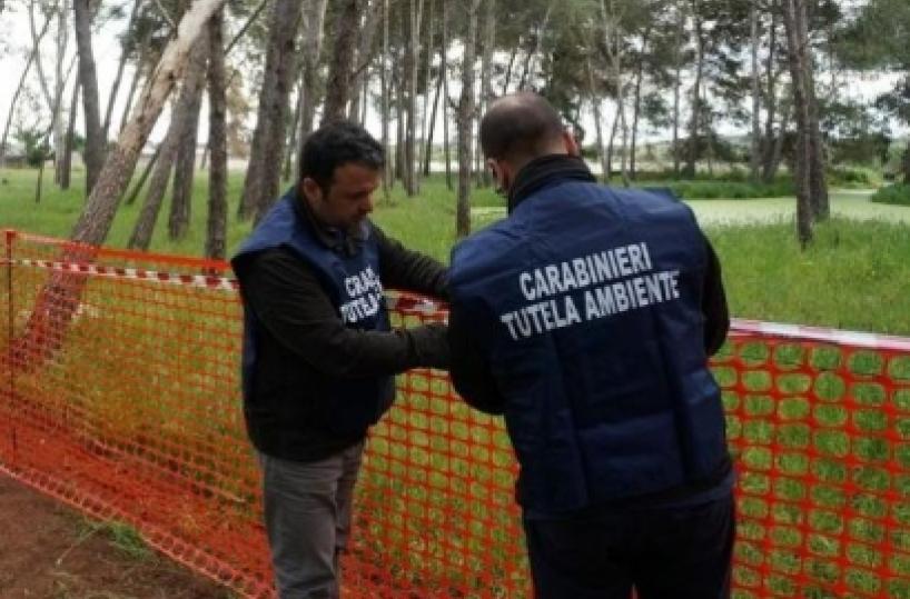 Lecce, abbattuta pineta, insorgono gli ambientalisti ma il Comune: «Alberi pericolosi»