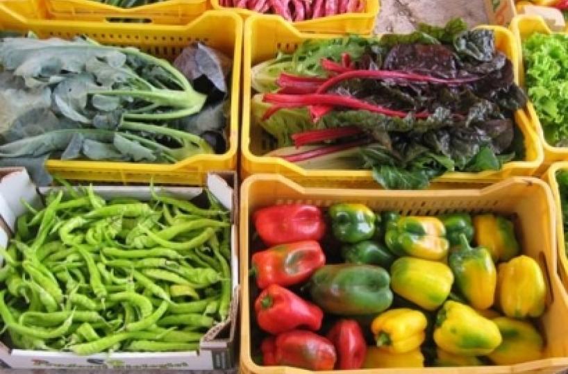 Vola il biologico pugliese ma è incubo burocrazia Vola il biologico pugliese ma è incubo burocrazia