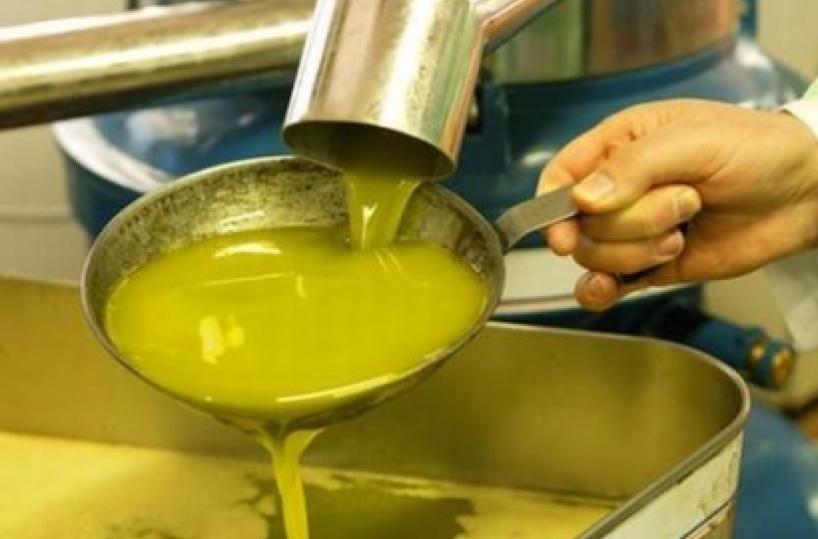 Agricoltura, fronte comune per tutelare olio pugliese