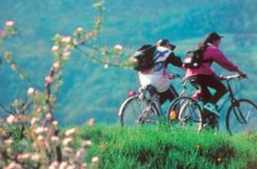Turismo in Puglia, in crescitagli arrivi. Boom dell'estero
