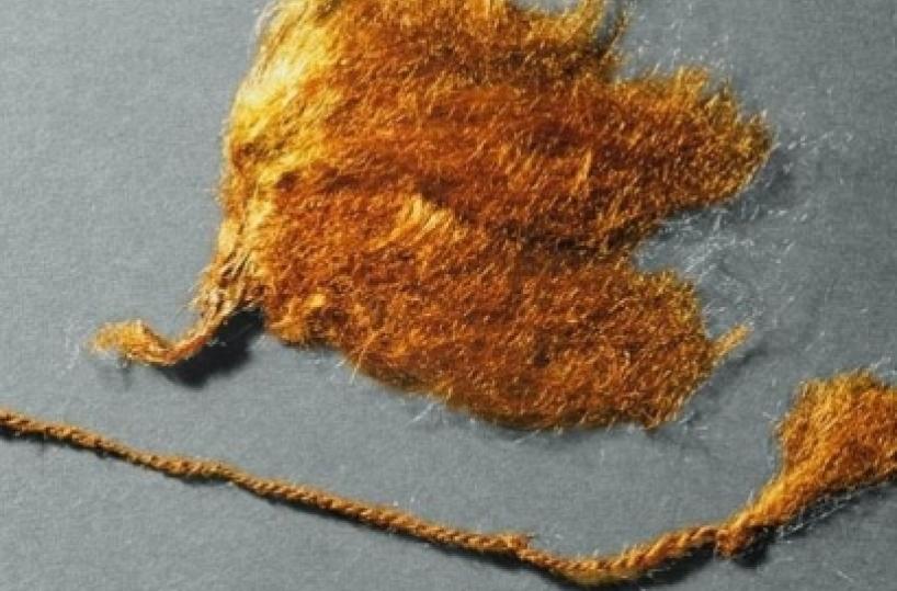 Ricerca degli studenti sul bisso, pregiato tessuto dell'antichità