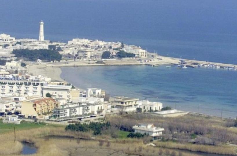 Brindisi, in mare dilaga l'alga tossica: sconsigliata balneazione