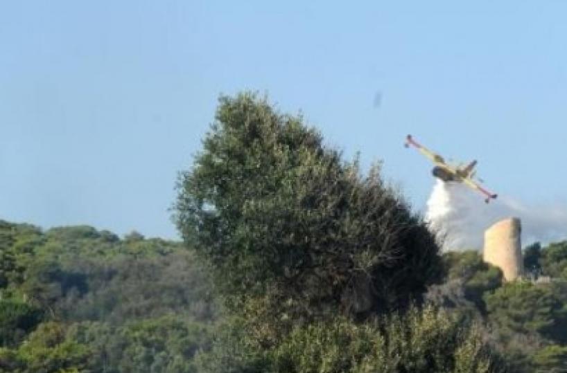 Il fuoco divora la pineta paura a Santa Cesarea