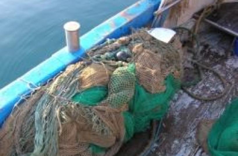 L'Ue fissa i porti italiani abilitati a sbarco del pesce ci sono Brindisi e Taranto