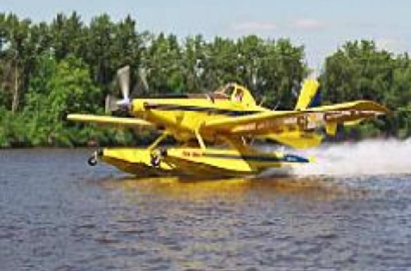 Distrutti 15 ettari di pineta e macchia mediterranea a San Pietro in Bevagna Fiamme tra S. Cesarea e Castro