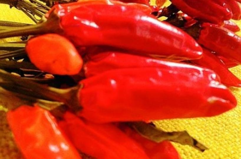 Oggi a Senise la serata finale della sagra del peperone Igp