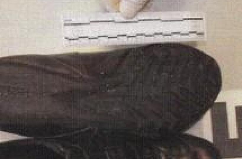 Garlasco:perizia,sempre sangue su scarpe