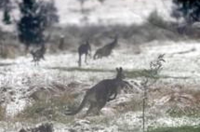 Ocse, Canberra miglior posto per vivere