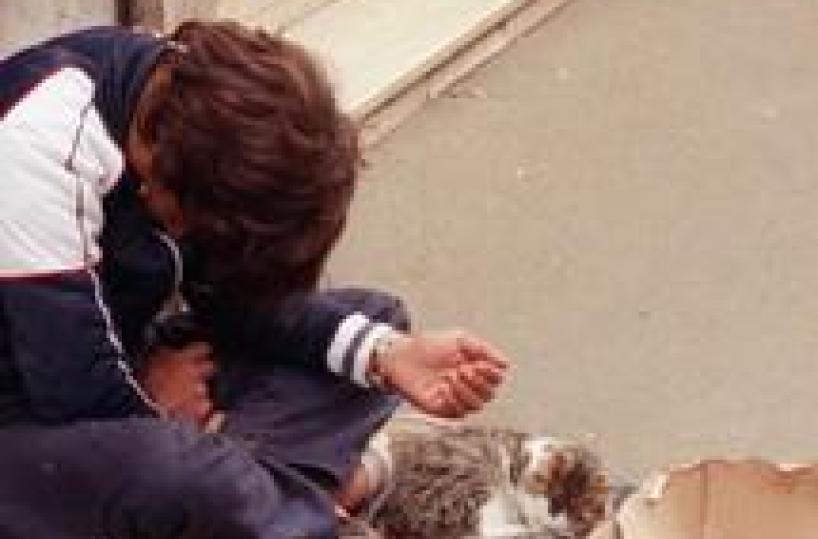 Potenza, stop accattonaggioIl sindaco: favorisce illegalità
