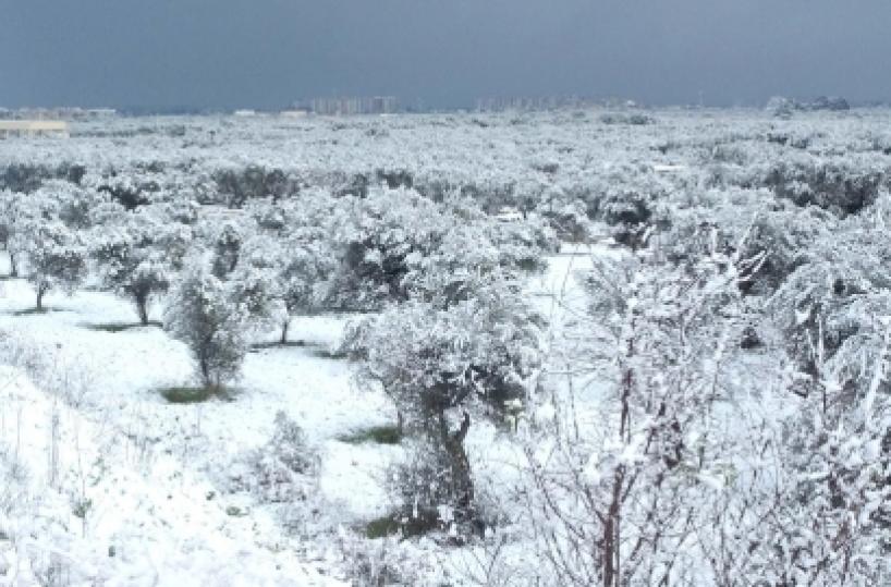 Nevicate di gennaioda governo 11,4 milioni