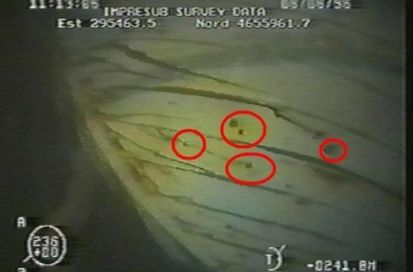 Strage Francesco Padre «Fu un atto di guerra» I pm: è un caso Ustica Il sindaco di Molfetta: finalmente una verità