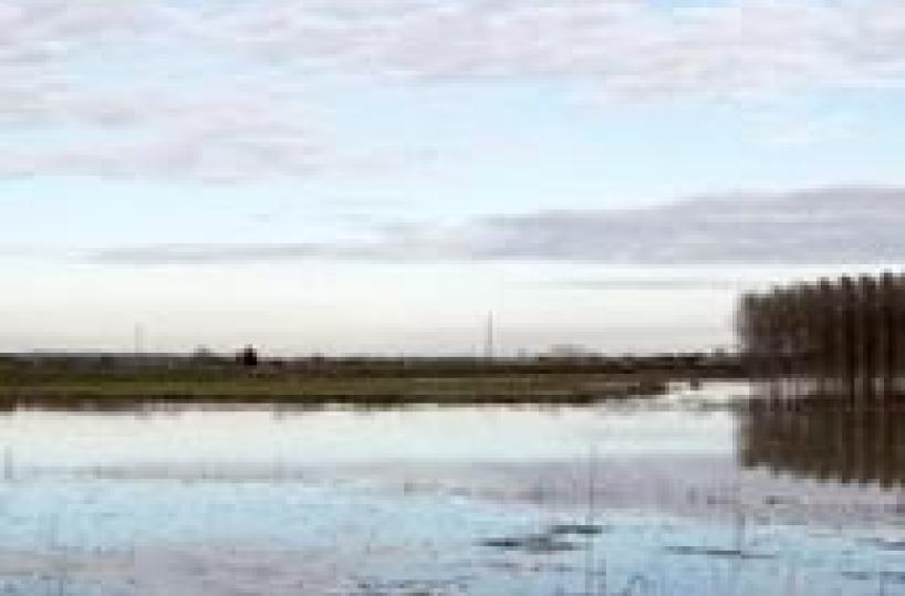 Allerta piena Po in Emilia-Romagna