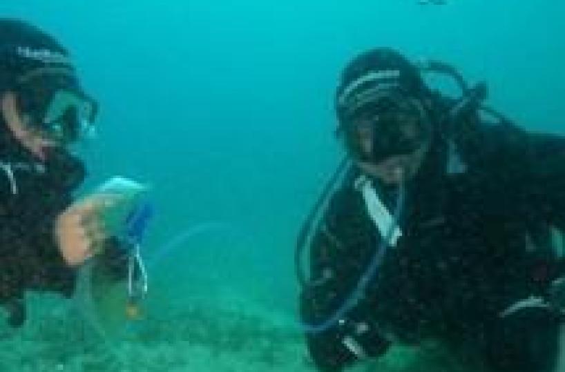 Un 80enne sub muore annegato a S. Isidoro