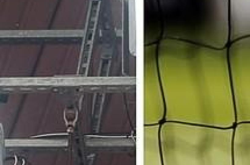 Galliani, avremo l'occhio di falco