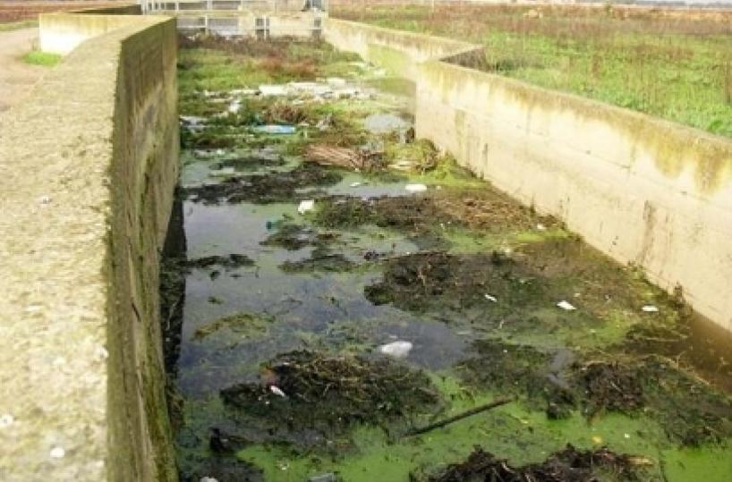 «L’acqua che scorre nel canale Asso è di origine fognaria»
