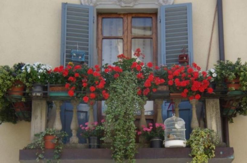 Leverano, Fiori e piante sui balconi per aiutare i floricoltori