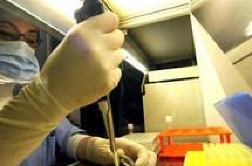 Morì dopo fecondazione assistita, rischiano processo