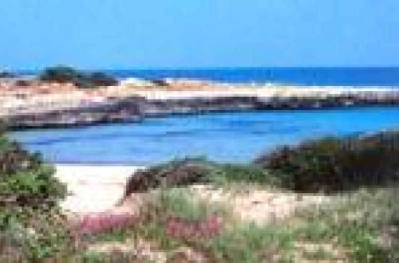 Mare, solo «4 vele» a Ostuni sindaco minaccia azioni legali