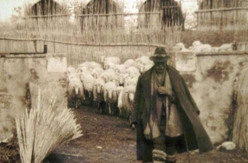 Foggia, parte transumanza rivive così pratica millenaria