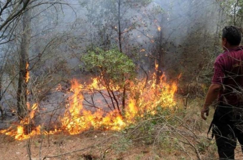 Parco del Pollino il telerilevamento contro gli incendi