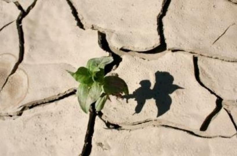 Coldiretti: consumo del suoloin Puglia tra 8/10% nel 2016