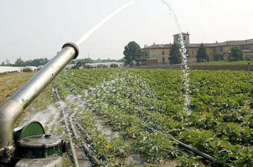 Agricoltura Basilicata, oltre 20mila pratiche inevase 