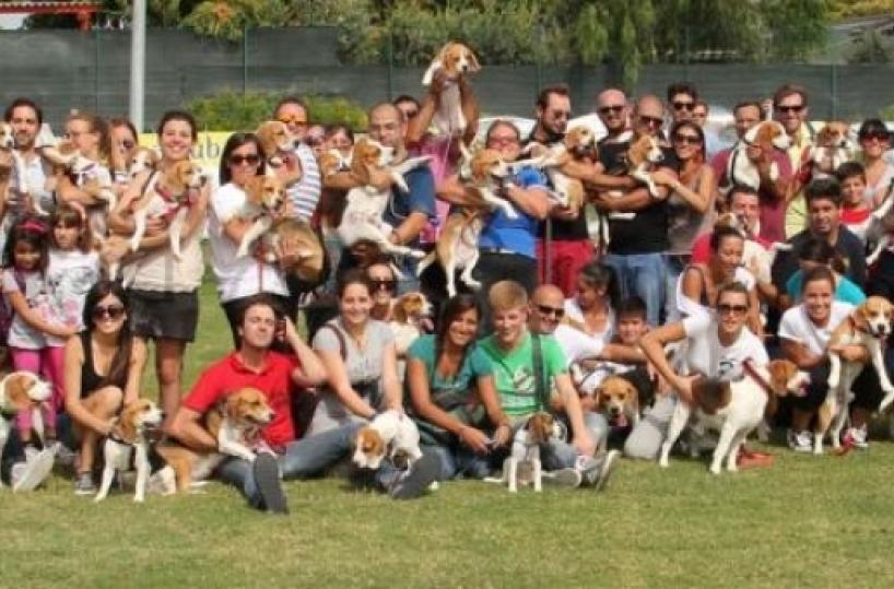 Bari, torna il 13 settembre il gran giorno dei beagle