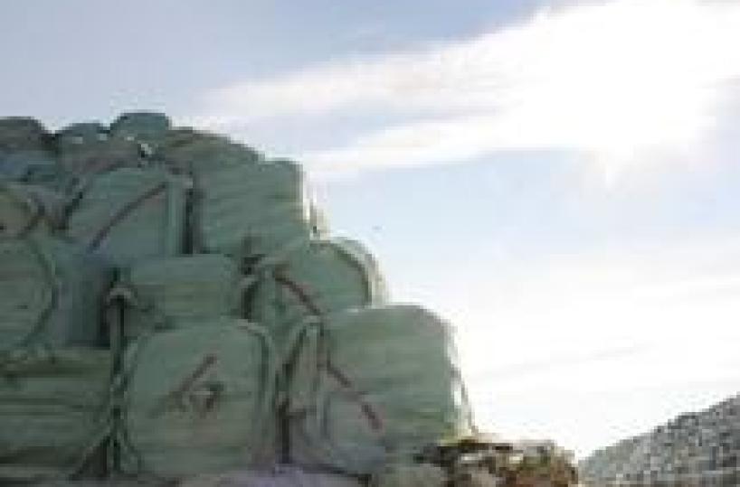 Cerignola, allarme per il traffico illecito dei rifiuti