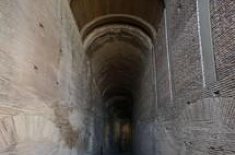 Domitian's ramp up to Palatine Hill opens to public