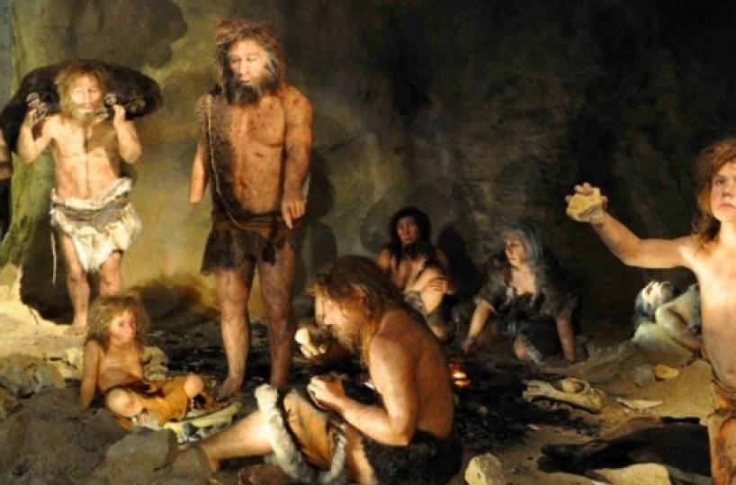Sapiens e Neanderthal forse la loro unione avvenne a Portoselvaggio