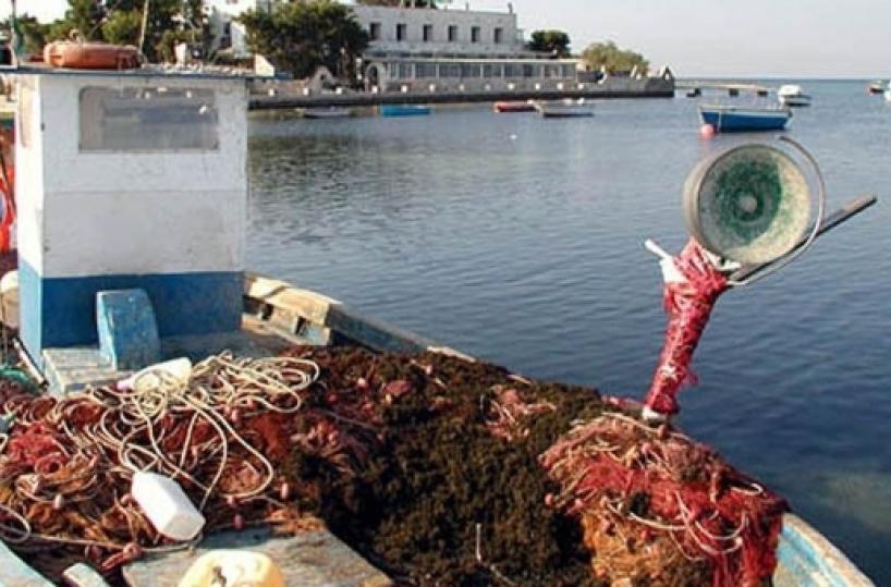 Stop al pesce fresco a tavola lungo tutto l’Adriatico: scatta il fermo biologico per 42 giorni