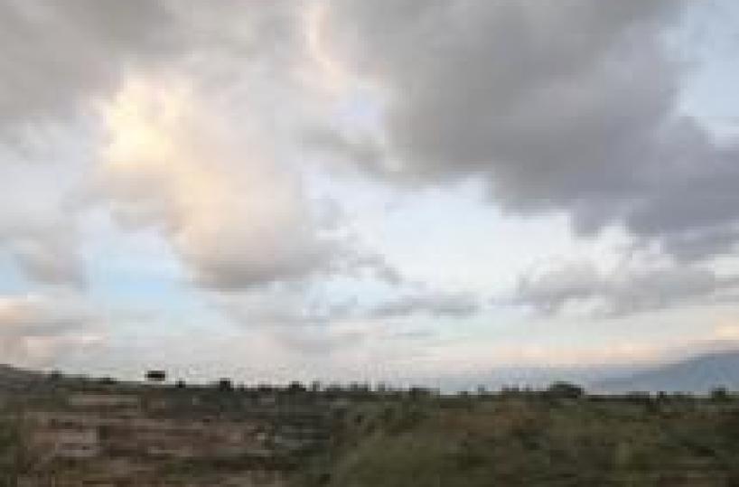 La metà dei parchi nazionali è allo sbando