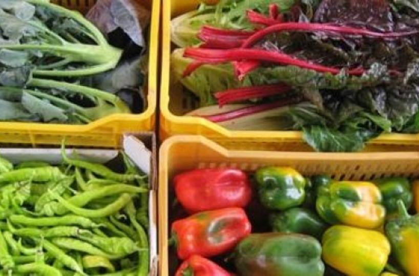 Coronavirus, piovono disdette pesce, latte e funghi. Coldiretti Puglia: «Comprate a km zero»