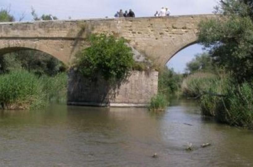 E' il drago non la lontra il simbolo del parco dell'Ofanto