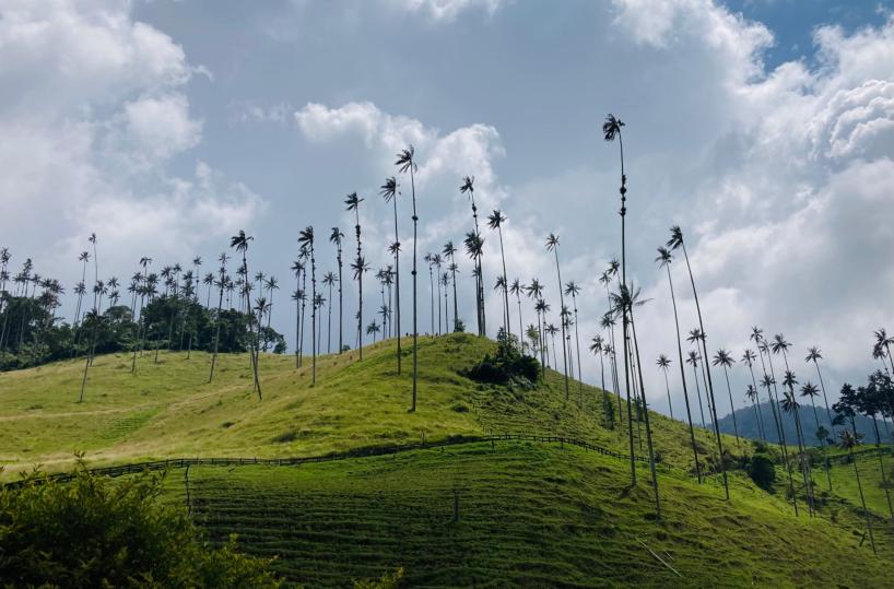 Paesaggi e pregiudizi, come è corta la distanza dalla Colombia alla Bat