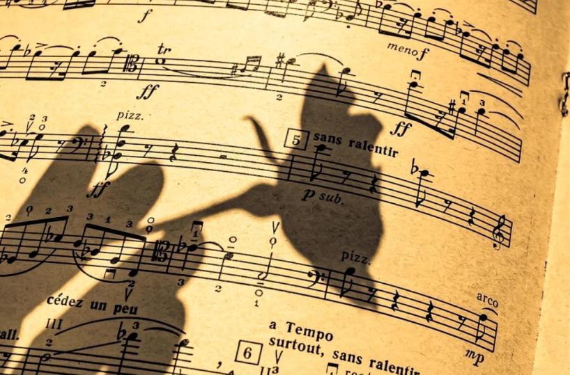 Spartito e note musicali