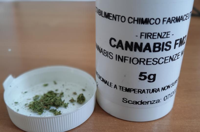 «Uso medico della cannabis, Puglia prima regione a istituire un polo di ricerca»
