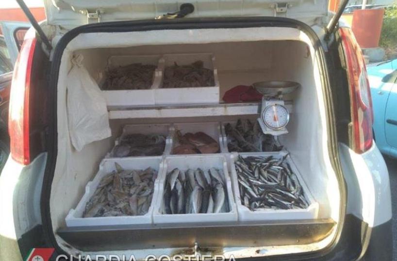 pesce sequestrato