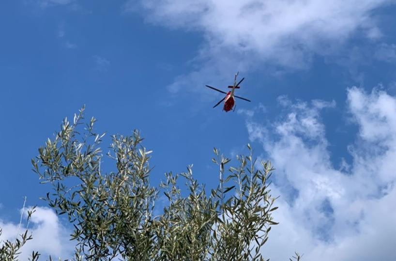 Ruvo, nonna di 80 anni scompare nel nulla: ritrovata dopo 24 ore a Bisceglie