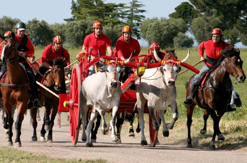Chieuti (Foggia) corsa dei carri coi buoi
