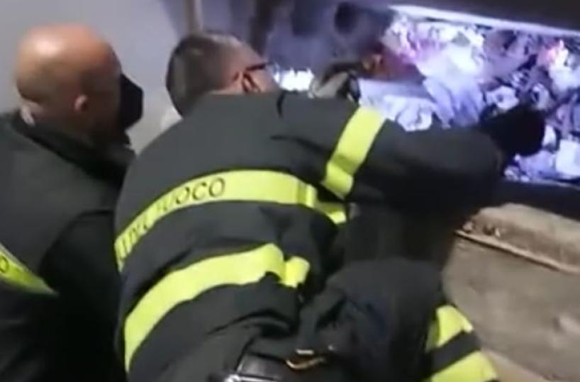 S.M di Leuca, gattini precipitano in un canale di scolo: salvati dai vigili del fuoco