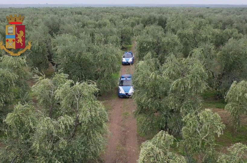 Sicurezza nelle campagne: il Questore incontra imprenditori agricoli andriesi.