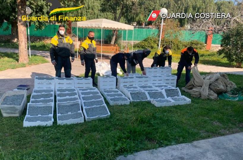 Manfredonia, sequestrati 6 quintali di novellame di sarda