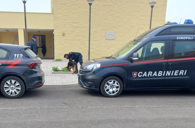 Controlli antidroga nelle scuole della Bat, in azione il Nucelo Cinofili dei Carabinieri