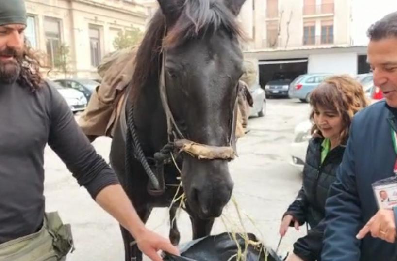 Molla tutto per viaggiare a cavallo in giro per l'Italia: Cristian Moroni e la sua Furia arrivano in Puglia