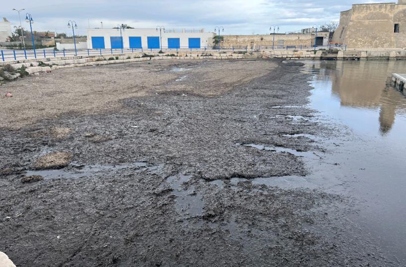 Ostuni, «subito uno studio tecnico per le alghe a Villanova»